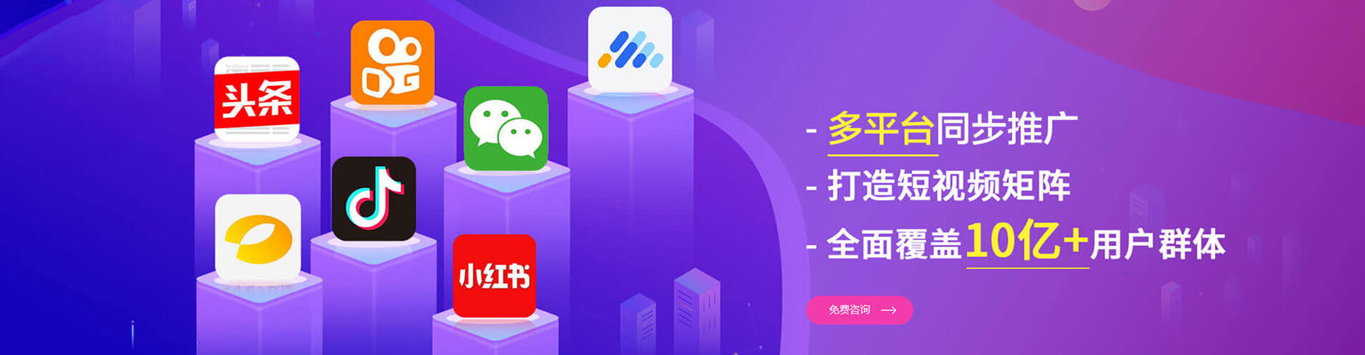 金凤信息流代运营